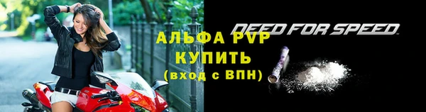 тгк Лагань