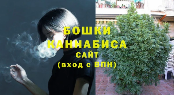 тгк Лагань
