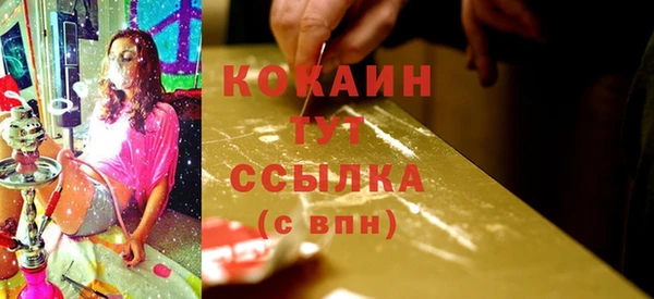 не бодяженный Ладушкин