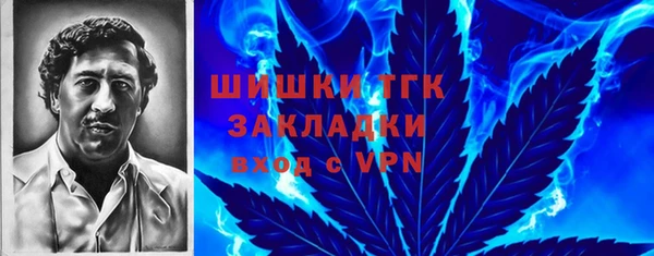 не бодяженный Ладушкин