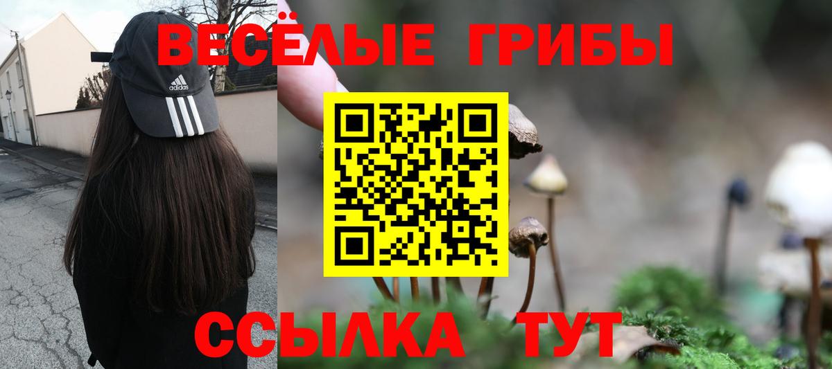 Псилоцибиновые грибы Psilocybe Феодосия